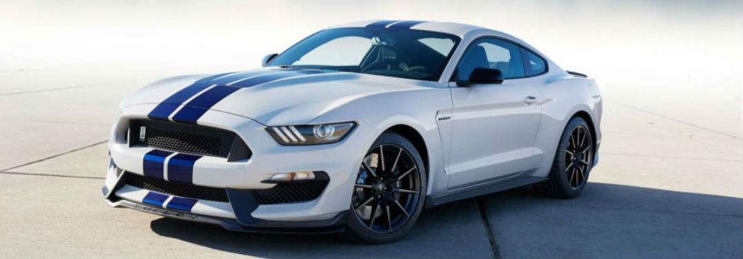Ford Mustang Shelby® parked showing front and side profile