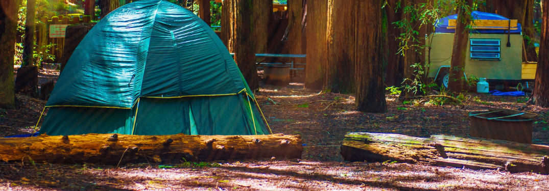 tent set up in the woods