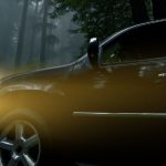 Deer-crossing_B89_b