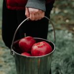 Apple_Orchard_A9_b