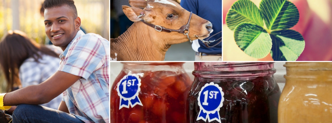 Collage of images depicting the 4-H youth organization