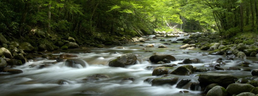 A river in the Great Smoky Mountains region in the USA