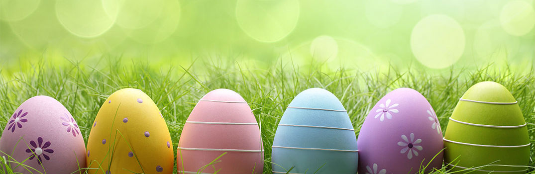 Colorful Easter Eggs resting in Grass