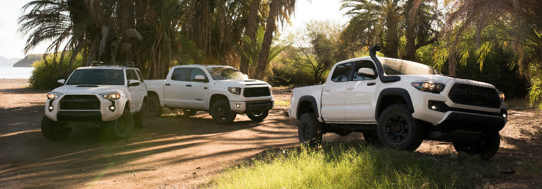 2019 Toyota TRD Pro lineup in white parked under palm trees