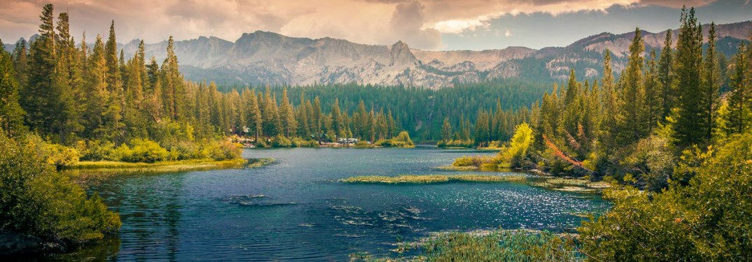 overlook of mountains, forest and river