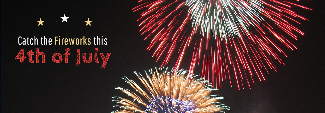 Fireworks in night sky