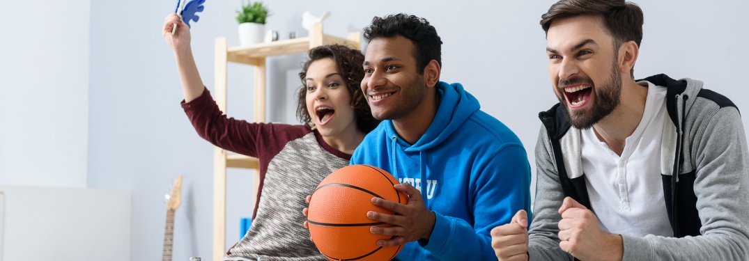 people watching basketball at home