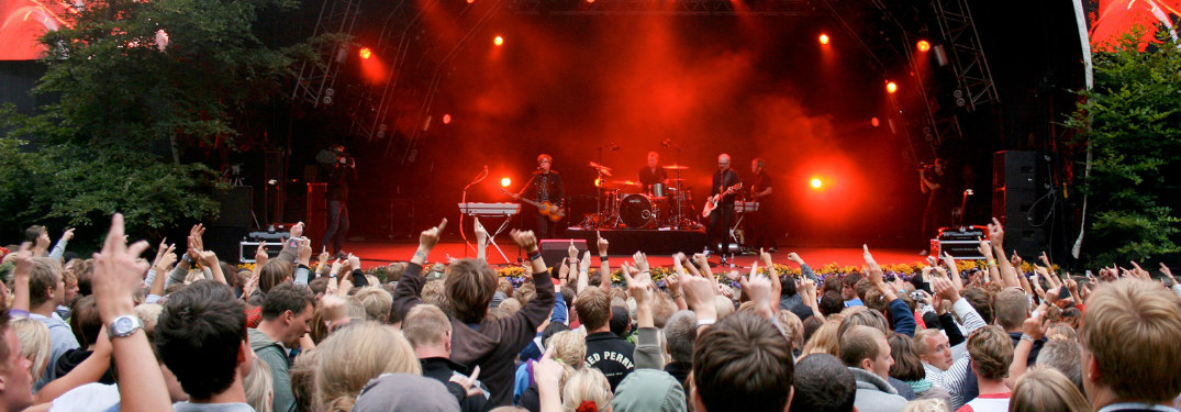 Crowd of fans at an outdoor concert