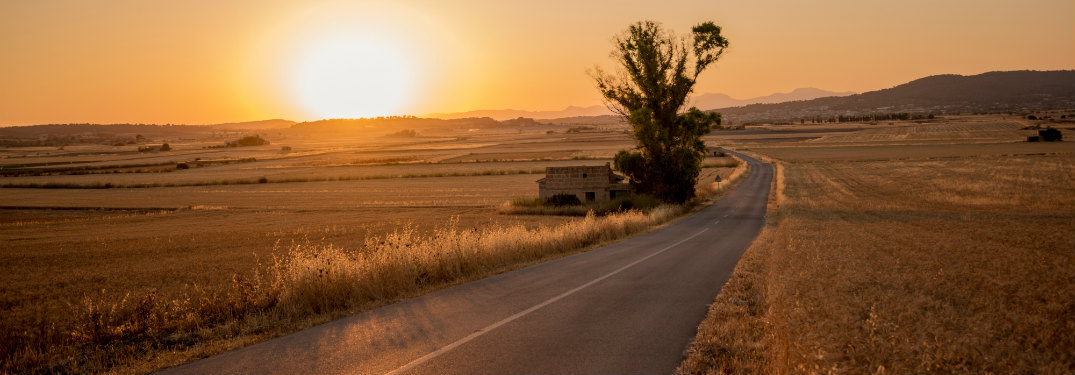 Sunset over a rural road