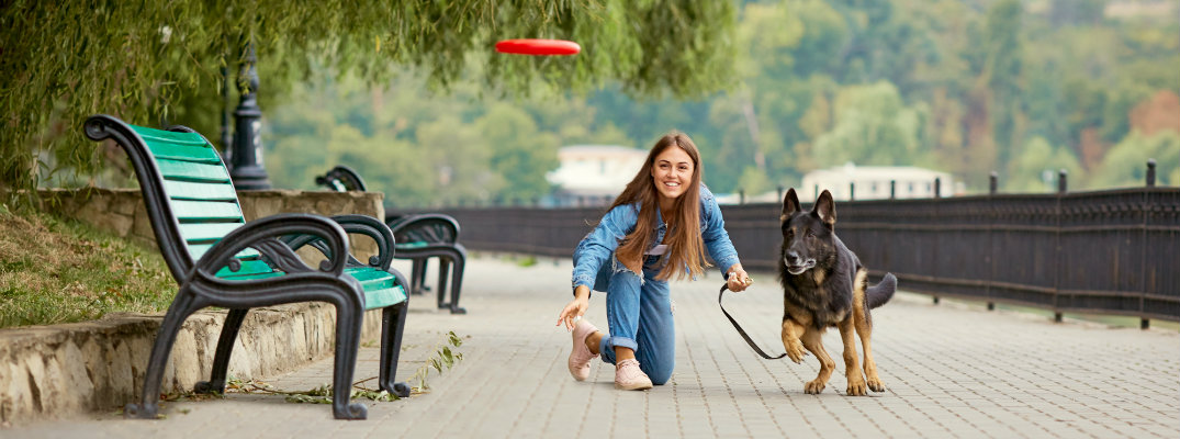 a young girl walking her dog on a leash on a tiled path by tress who is throwing a frisbee for the dog to catch