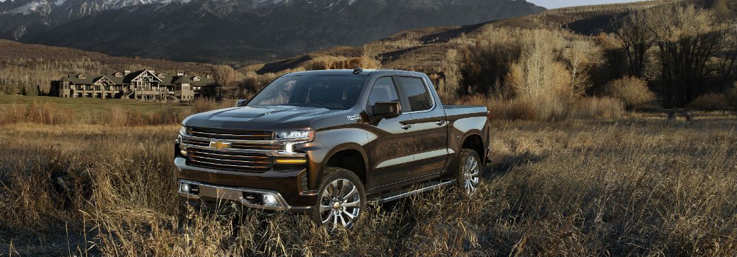 2019 Chevy Silverado 1500 parked in a field of long grass