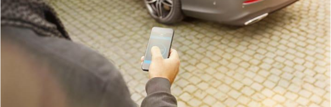 person holding a phone
