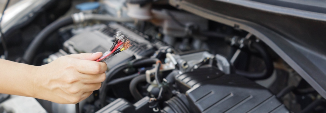 car wires chewed on by rodent