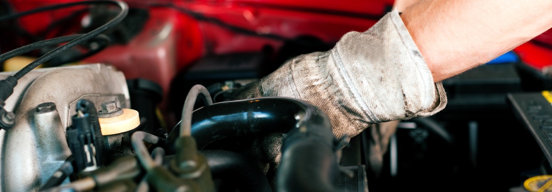 Mechanic working under hood of car