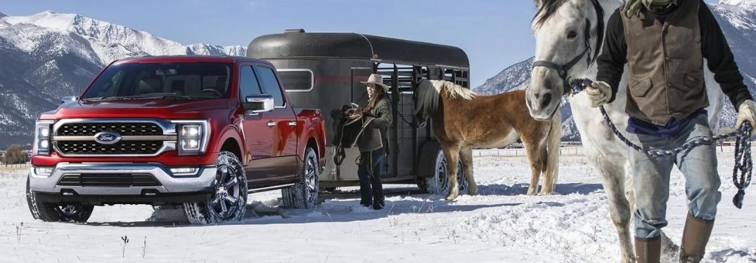 2021 Ford F-150 in red color with a dog in the rear