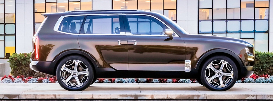 2020 Kia Telluride Side View of Brown Exterior