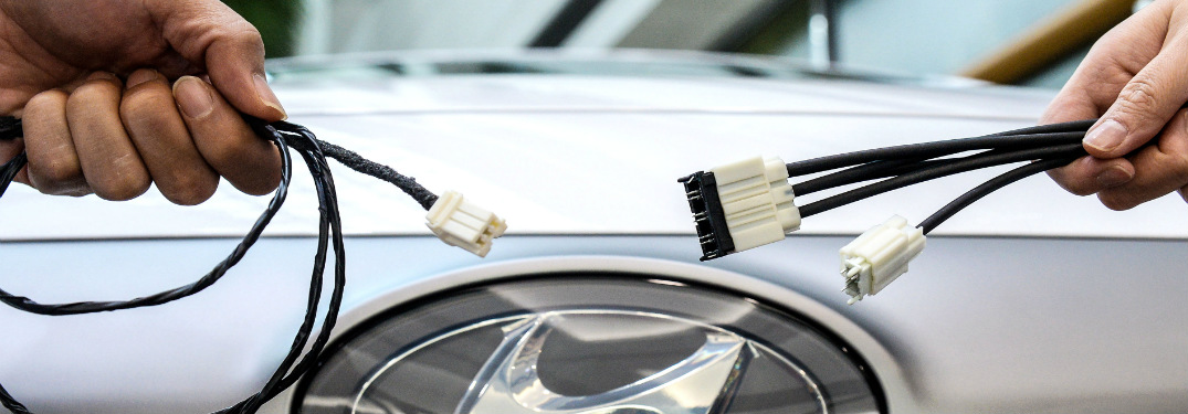 People holding Ethernet wires in front of Hyundai vehicle
