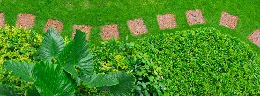 Pathways with green lawns, Landscaping in the garden