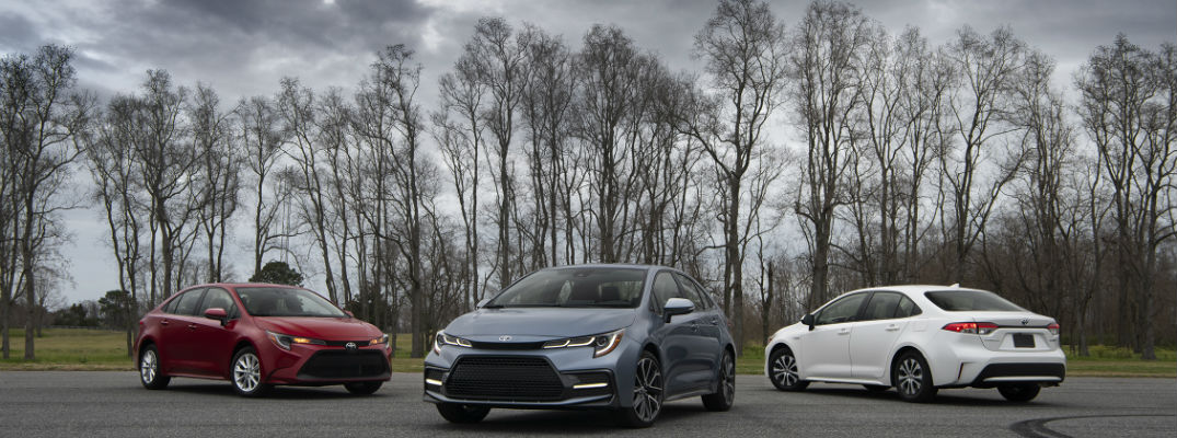 A photo of a lineup of 2020 Toyota Corolla Hybrid in a parking lot.