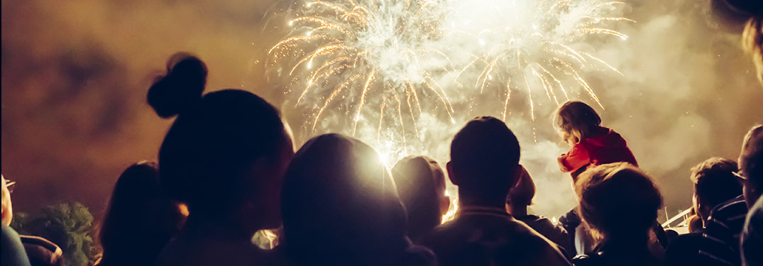 Back of people's heads with white firework lighting up the sky