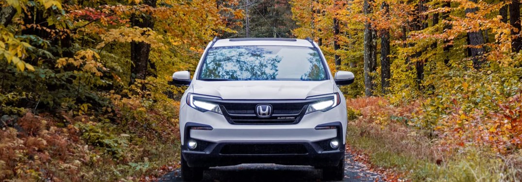2021 Honda Pilot front end with fall leaves in the background