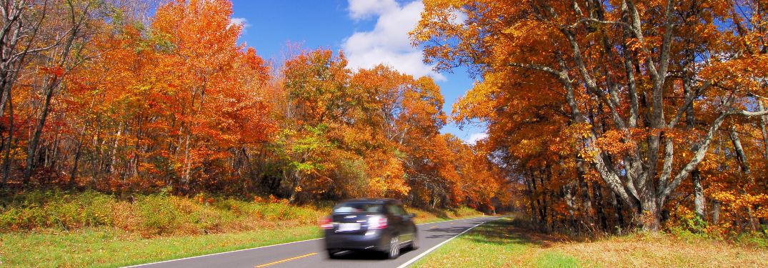 beautiful autumn drive