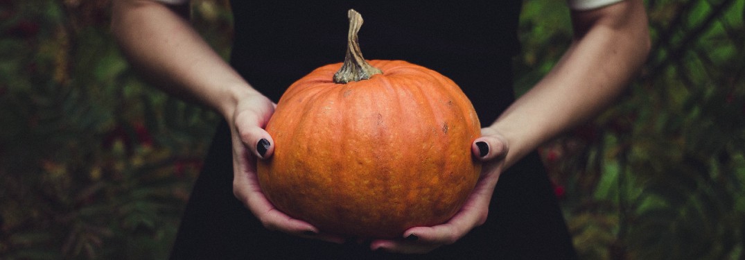 girl in black dress holding a pumpkin