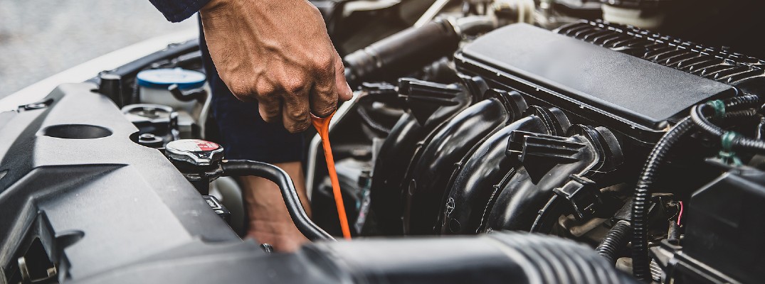 A stock photo of a person checking the oil in their vehicle.