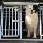 A dog safely secured in a crate in the back of an SUV_o