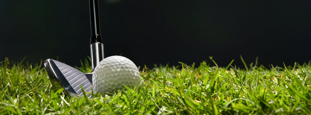a golf club lined up against a white golf ball resting atop freshly cut green grass
