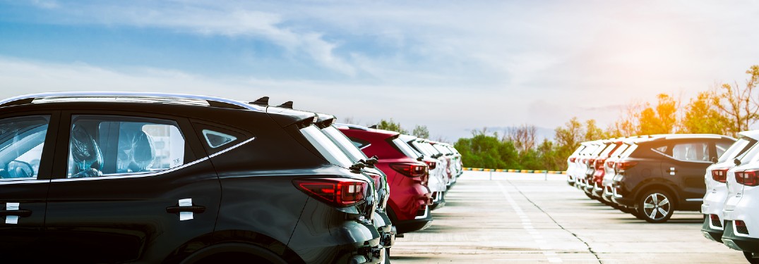 dealership lot