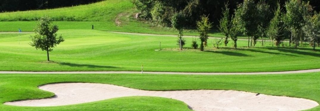A golf course with lush greens