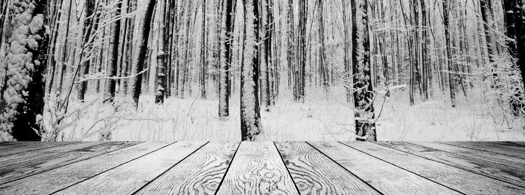 View of snow-covered trees from a wood deck