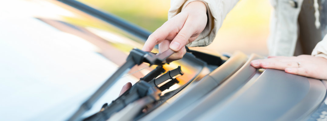 Man holding windshield wiper