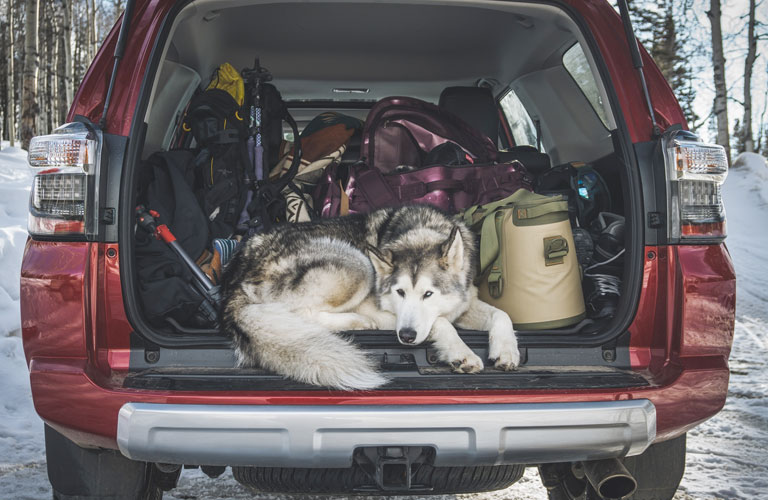 2020 Toyota 4Runner rear cargo area
