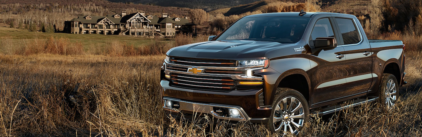 2019 Chevrolet Silverado 1500 in field
