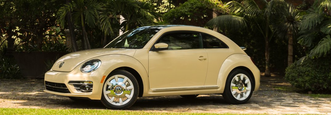2019 Volkswagen Beetle Final Edition parked in front of a row of palm trees