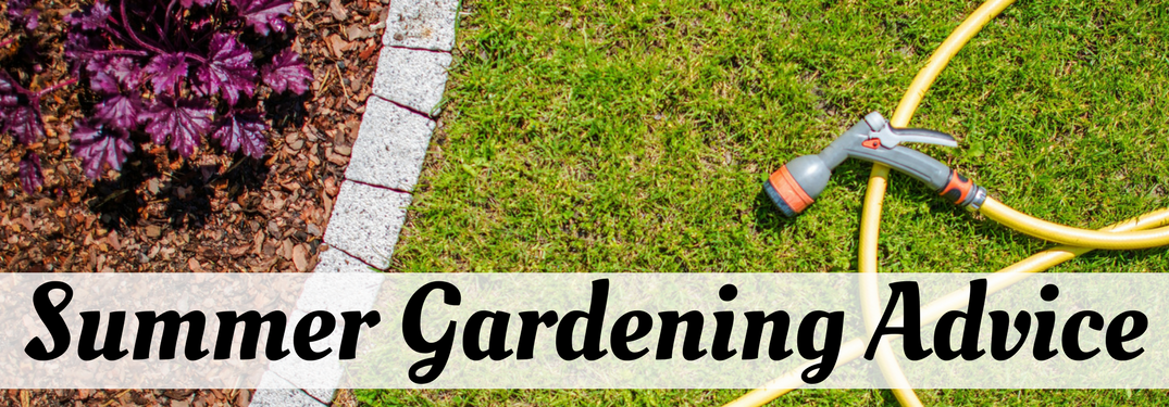 Summer Gardening Advice on a grassy background with garden hose