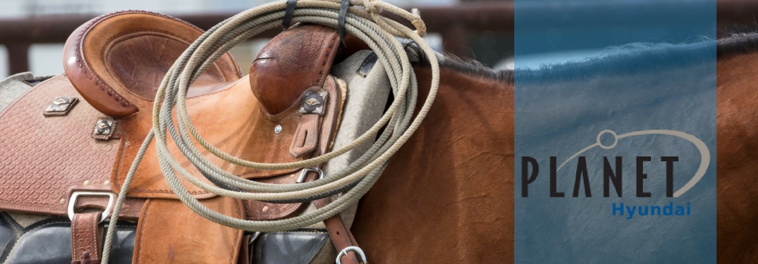 horse with saddle for odeo show with planet hyundai logo