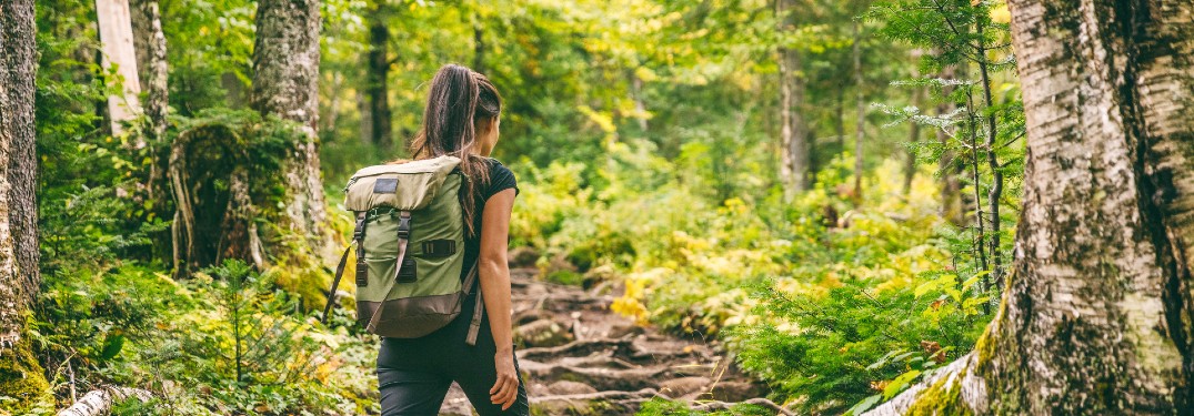 mujer de senderismo en el bosque con una mochila