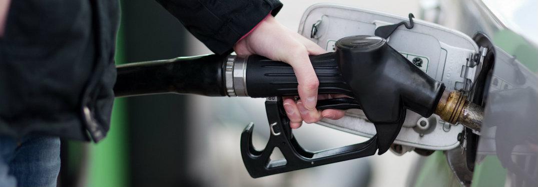 person holding gas nozzle
