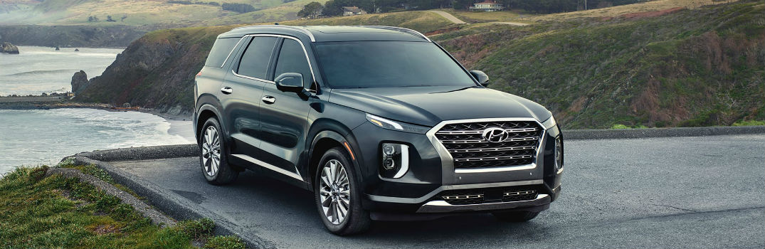 2020 Hyundai Palisade Exterior Passenger Side Front Profile
