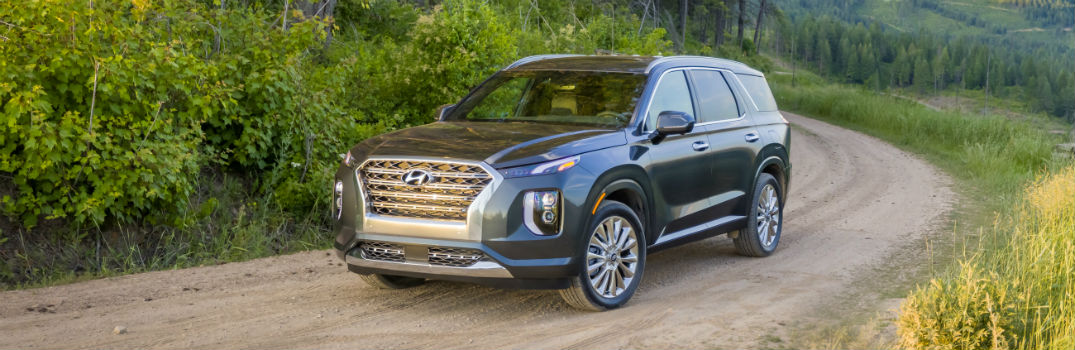 2020 Hyundai Palisade Exterior Driver Side Front