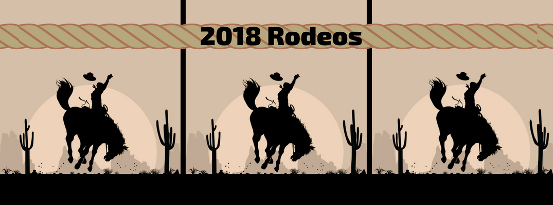 2018 Rodeos Banner with Rope and Silhouettes of Cowboys