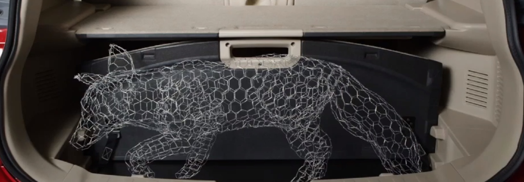 wire fox in front of cargo holders in a nissan
