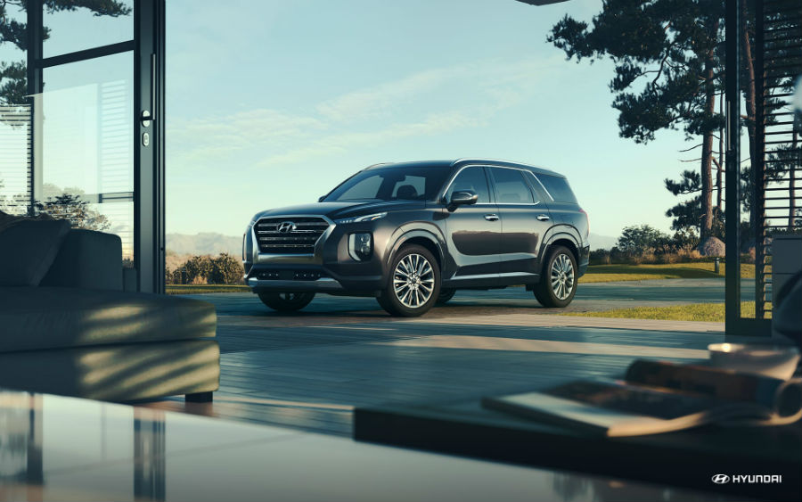 2020 Hyundai Palisade Exterior Driver Side Front Profile