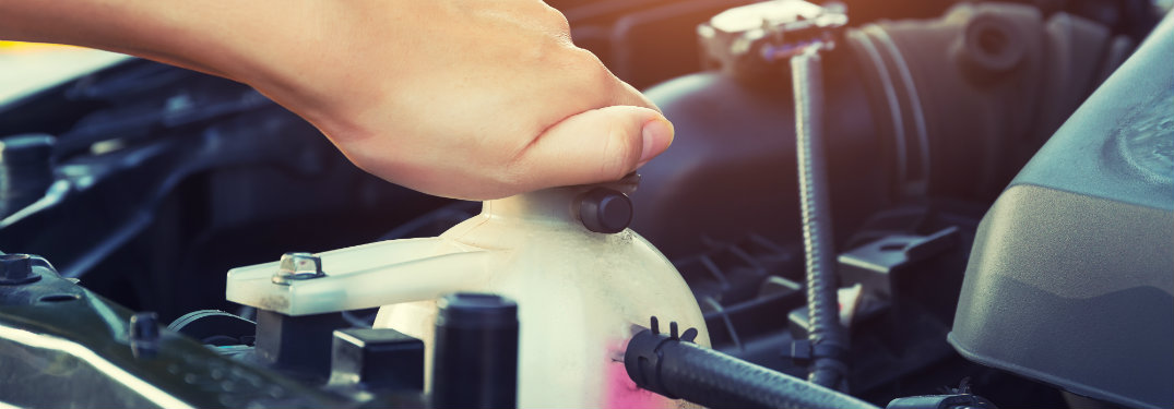 person adding engine coolant