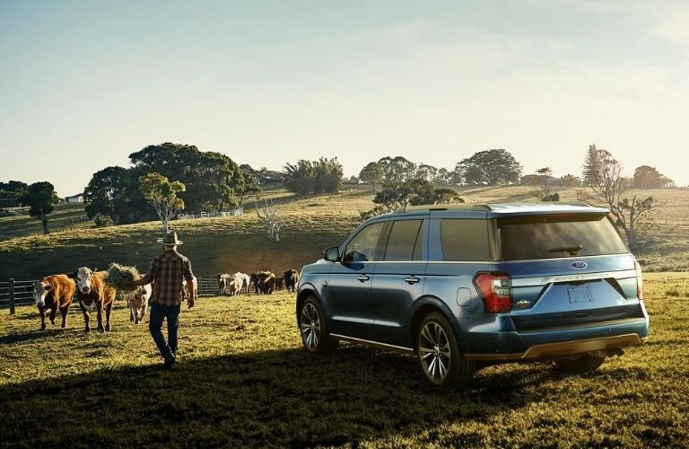 2020 Ford Expedition parked outside side view