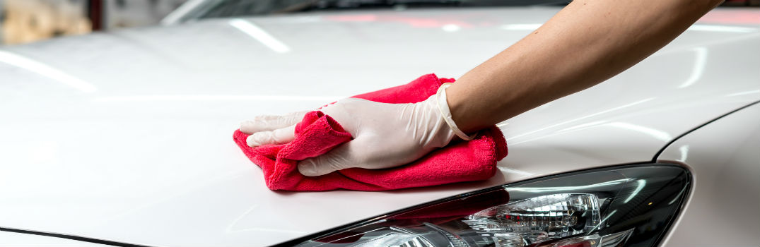 person waxing a car