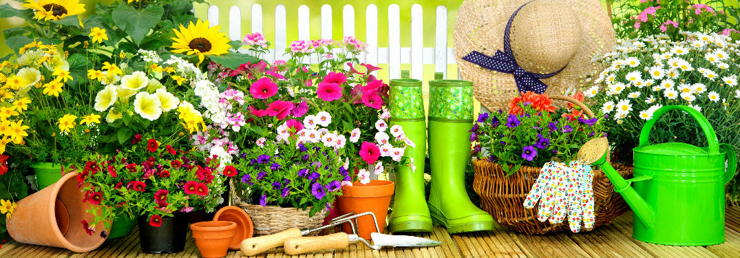 Plants and Garden Supplies